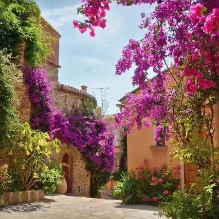 Le Petit Faviere, & Balcon Appartement Bormes-les-Mimosas